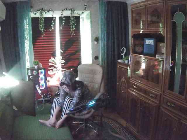 Infodar webcam