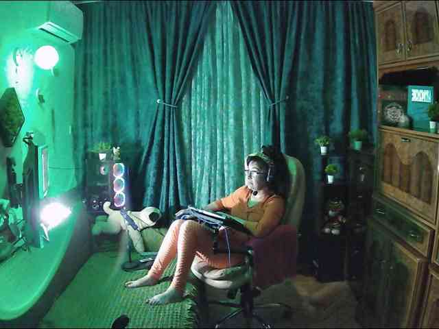 Infodar webcam