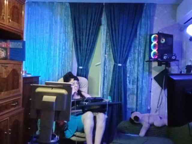 Infodar webcam