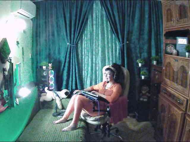 Infodar webcam