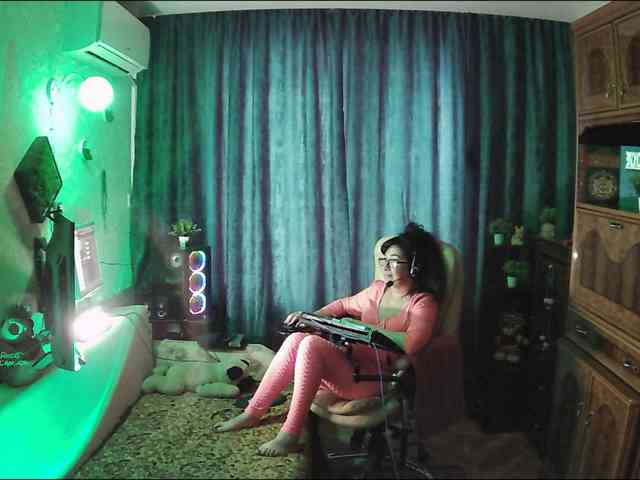 Infodar webcam