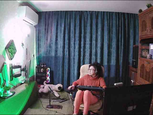 Infodar webcam