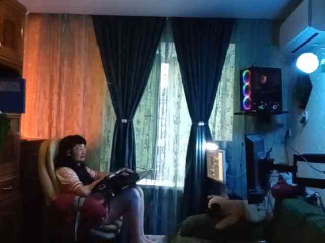 Infodar webcam