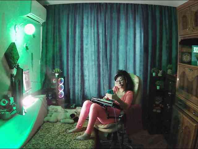Infodar webcam