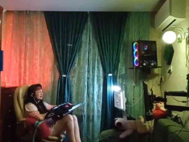 Infodar webcam
