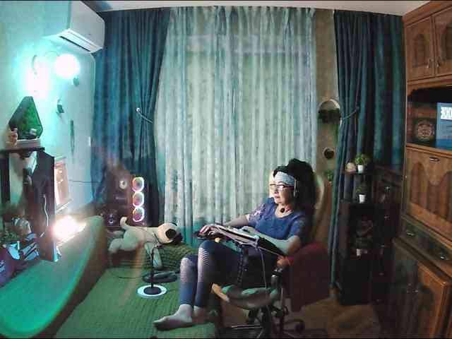 Infodar webcam