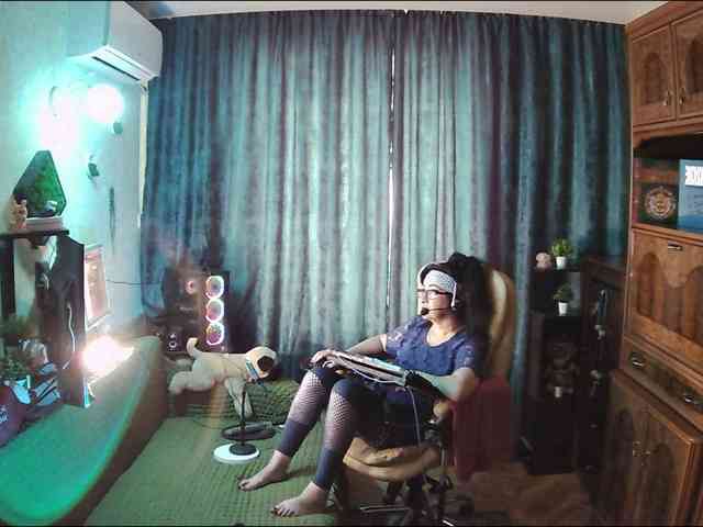 Infodar webcam