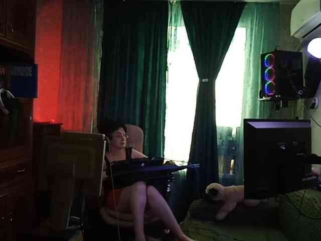 Infodar webcam