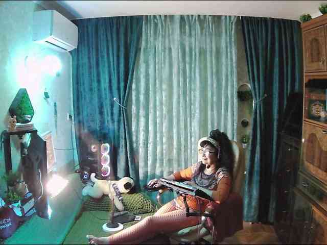 Infodar webcam