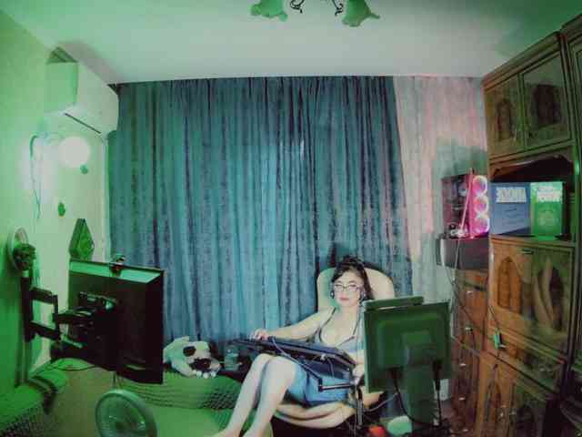 Infodar webcam