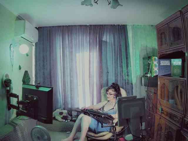 Infodar webcam