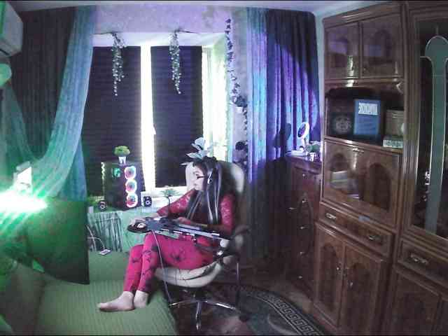 Infodar webcam
