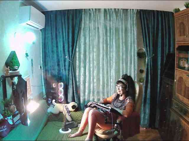 Infodar webcam
