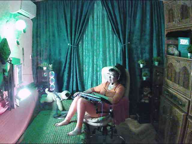 Infodar webcam