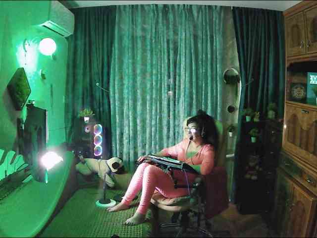Infodar webcam