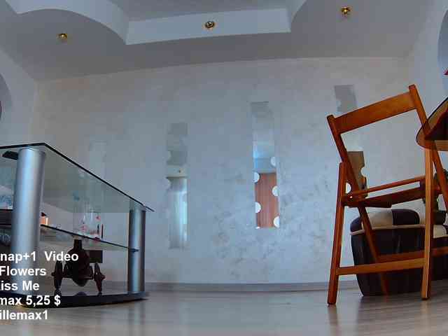 lillemax webcam