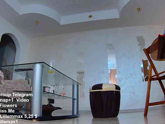 lillemax webcam
