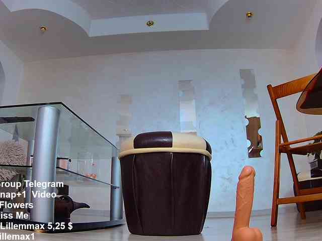 lillemax webcam