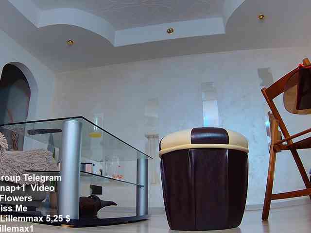 lillemax webcam