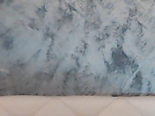 ClaudieTaylon Porn Show
