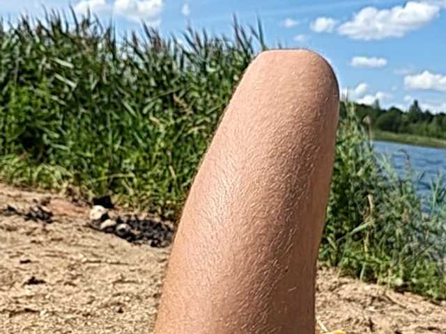 _Firsa_