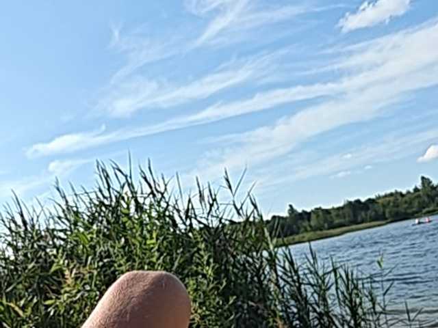 _Firsa_