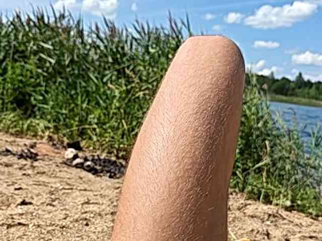 mixaver