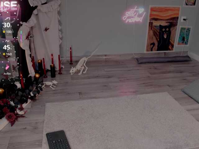 wo_voz webcam