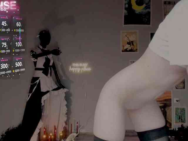 wo_voz webcam