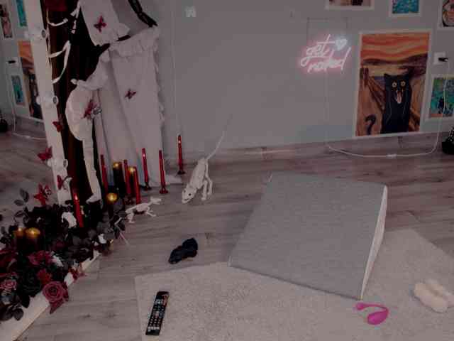 wo_voz webcam