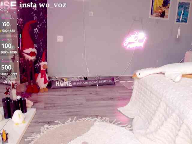 wo_voz webcam