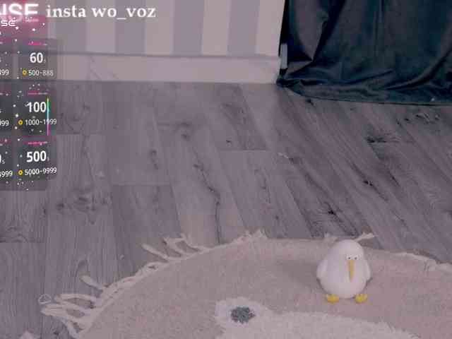 wo_voz webcam