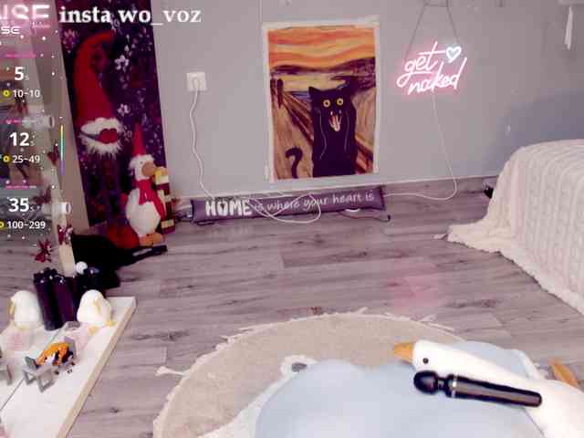 wo_voz webcam