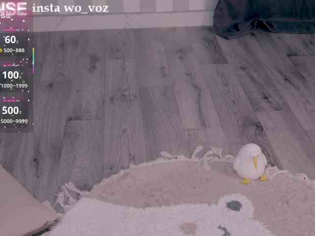 wo_voz webcam