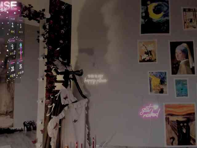 wo_voz webcam