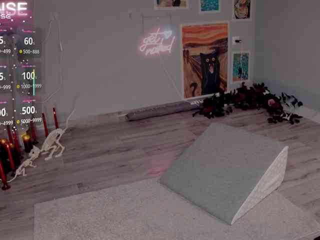 wo_voz webcam