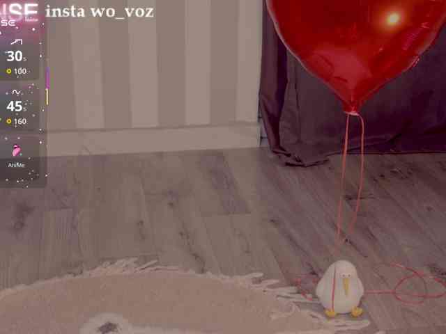 wo_voz webcam