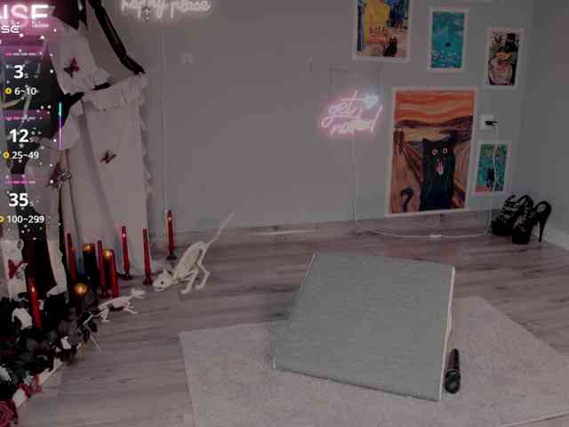 wo_voz webcam