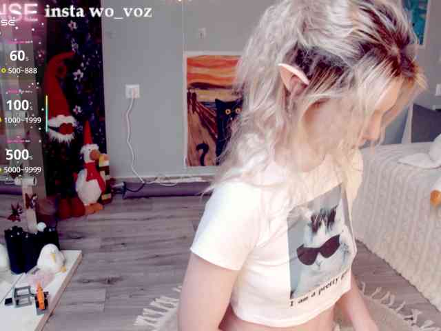wo_voz webcam