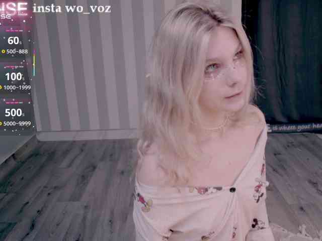 wo_voz webcam