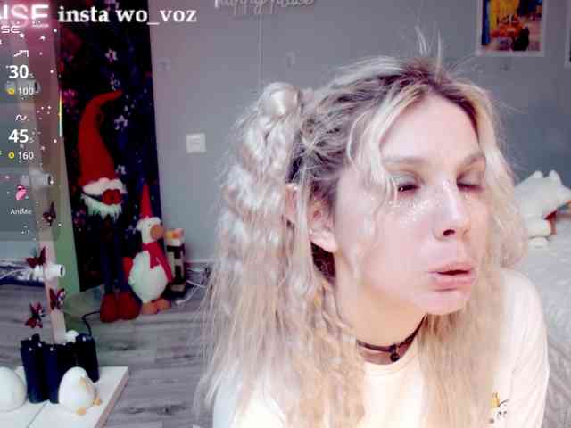 wo_voz webcam