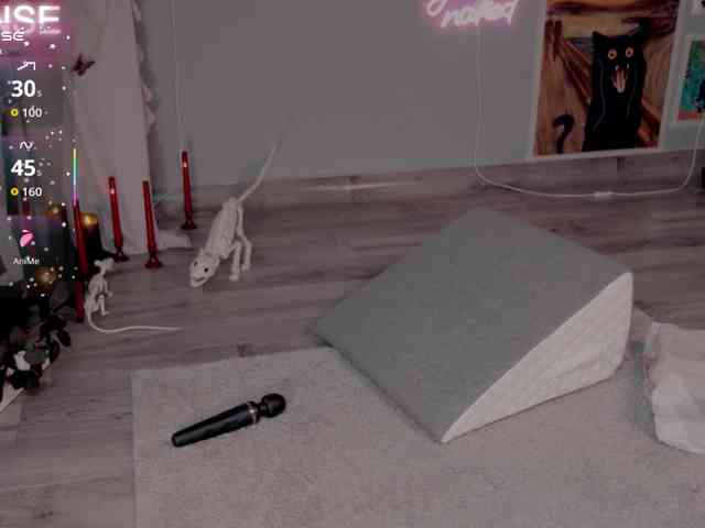 wo_voz webcam