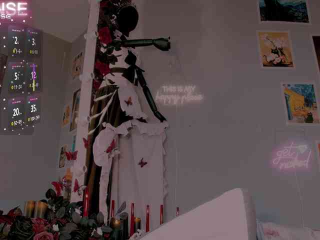 wo_voz webcam