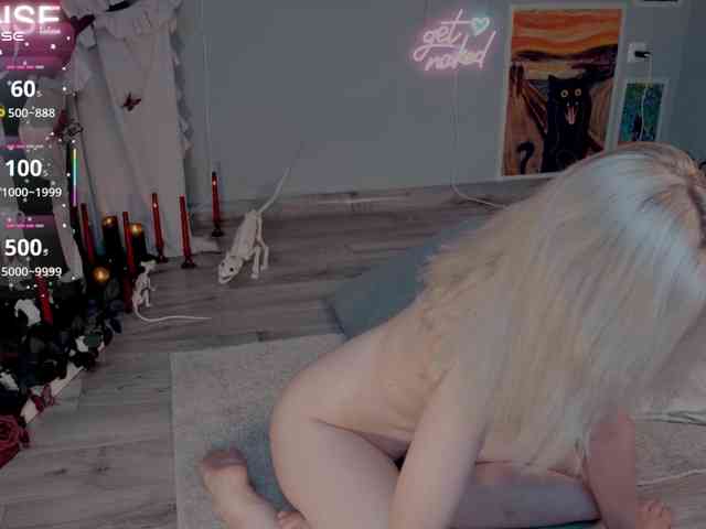 wo_voz webcam