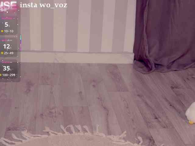 wo_voz webcam