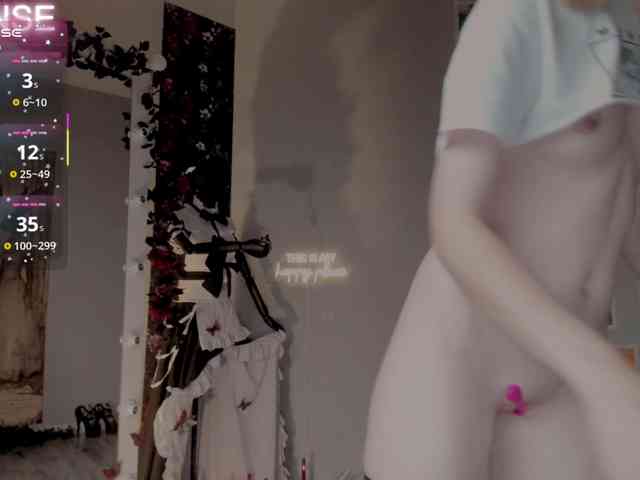 wo_voz webcam