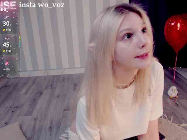 wo_voz webcam