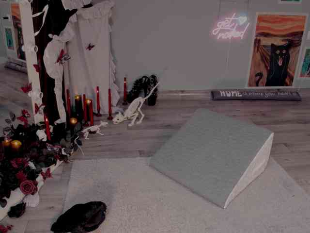 wo_voz webcam