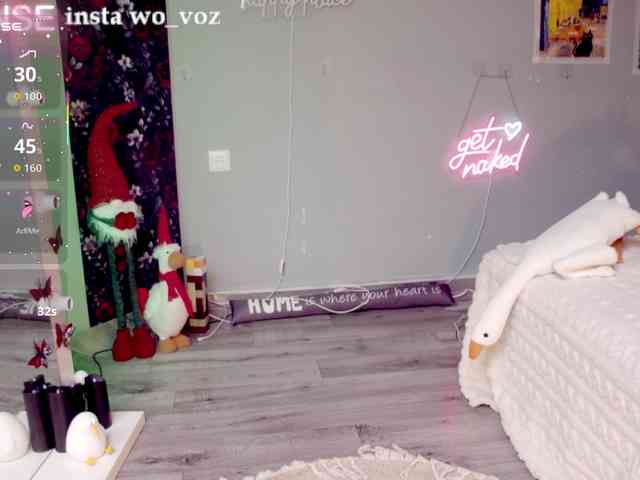 wo_voz webcam