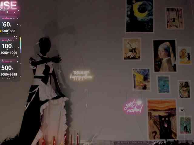 wo_voz webcam